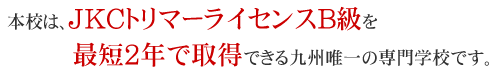 本校は在学中2年間でトリマーB級ライセンスが取得できます！